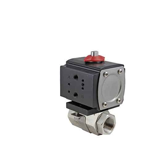NPT DN008 - 1/4" 2-piece ball valve model 86 A512D 