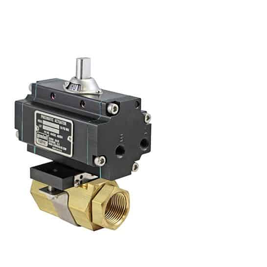 NPT DN008 - 1/4" 2-piece ball valve model 86 Brass B411SD 