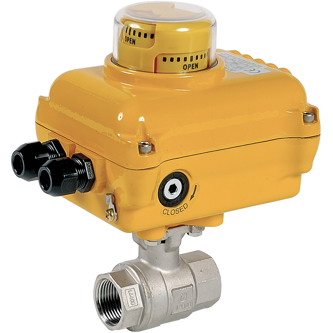 2 piece stainless steel ball valve 1-1/2''