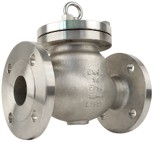 Stainless Steel Flange Swing Check Valve with a JIS 10K flange connection - DN25
