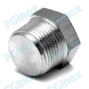 GVBM-Hexagonal plug 1/4 Inch NPT 316L
