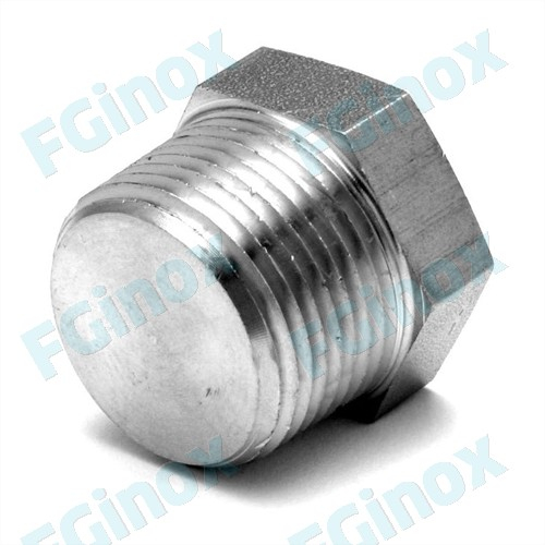 GVBM-Hexagonal plug 2 Inch NPT 316L