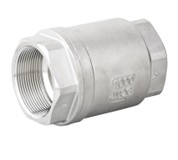 Lift Check Valve 69bar/1000PSI 304 1-1/2"BSPP