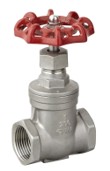 Gate Valve 200PSI 304 2"BSPP